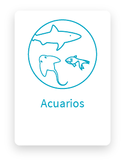 Acuarios_icon